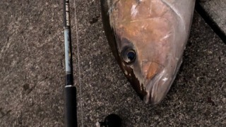 Thumbnail of post image 107