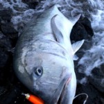 Thumbnail of post image 053