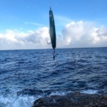 Thumbnail of post image 081
