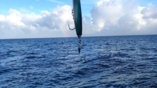 Thumbnail of post image 074