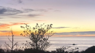 Thumbnail of post image 105