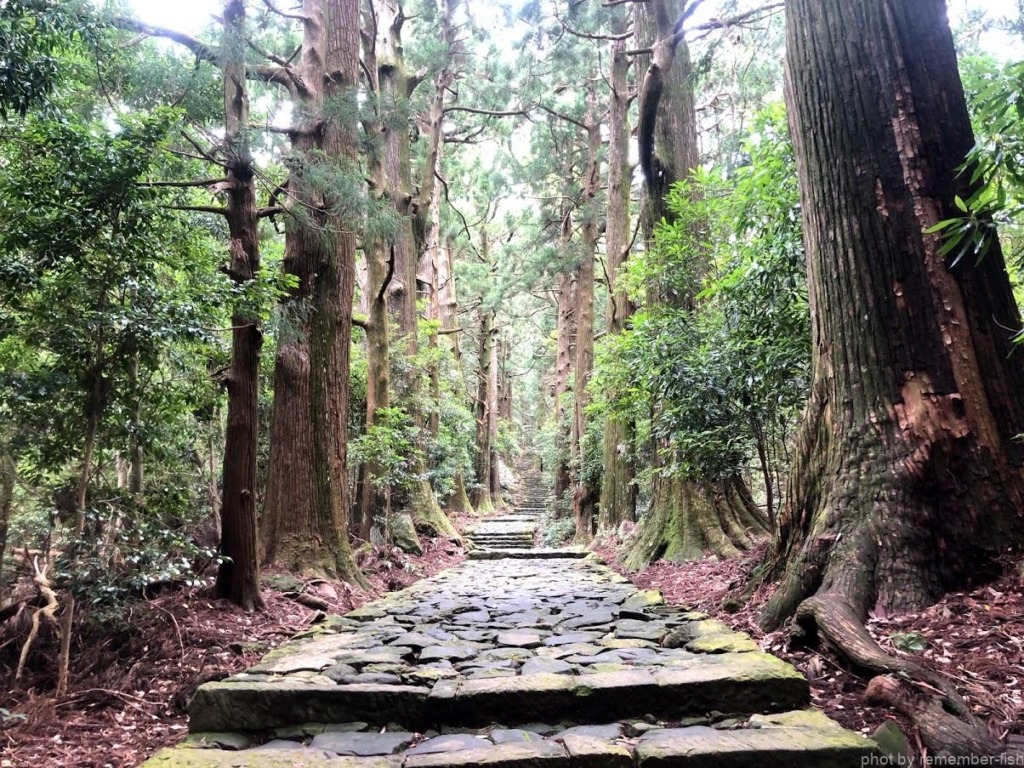 熊野古道