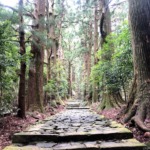Thumbnail of post image 143