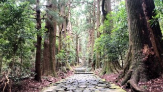 Thumbnail of post image 035