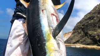 Thumbnail of post image 131
