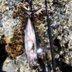 Thumbnail of post image 039