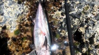 Thumbnail of post image 154