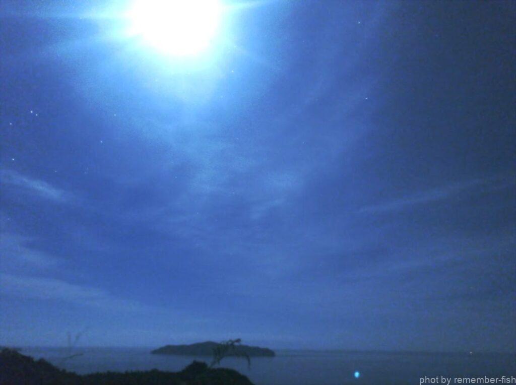 夜