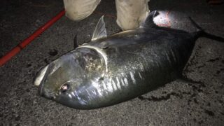 Thumbnail of post image 040