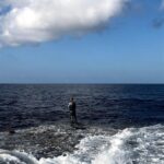 Thumbnail of post image 075
