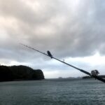 Thumbnail of post image 003
