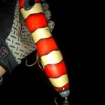 Thumbnail of post image 128