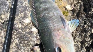 Thumbnail of post image 125