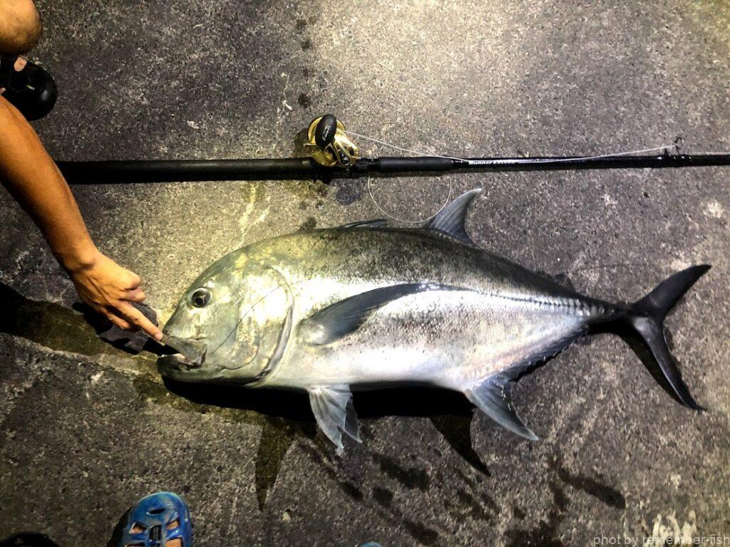 魚