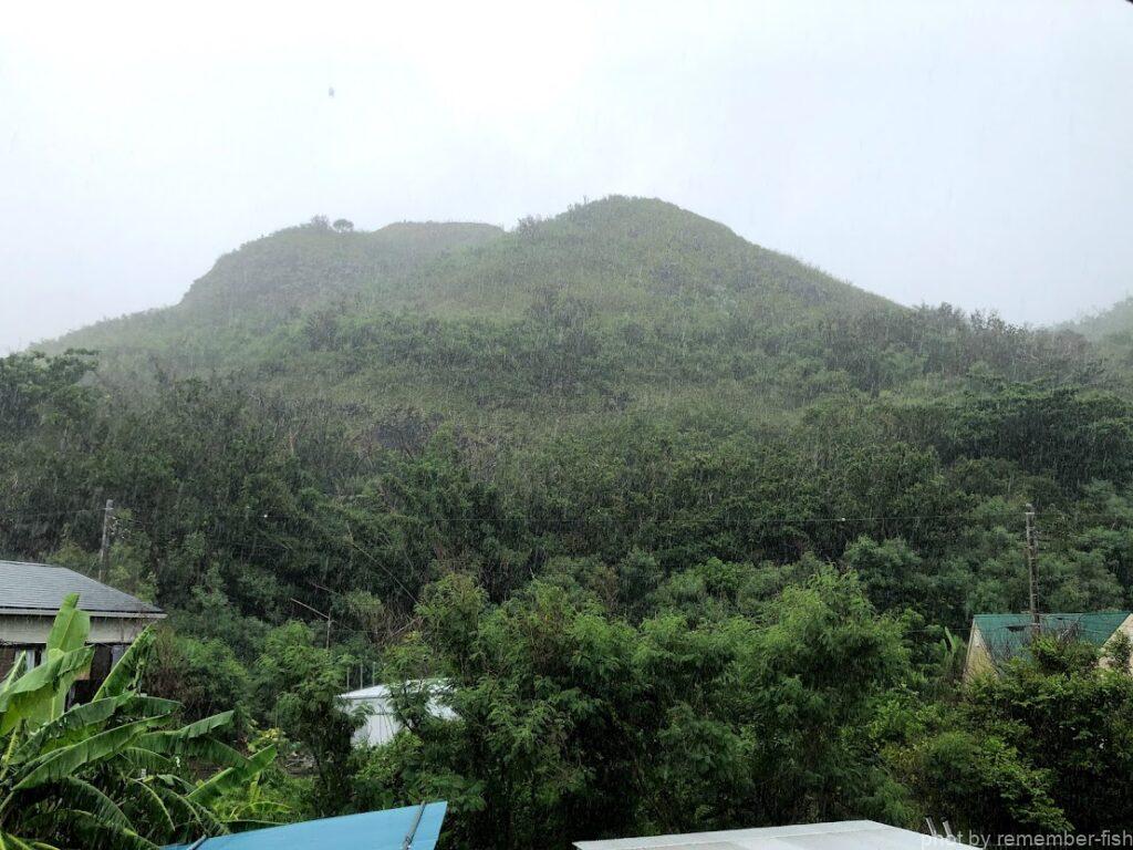 山