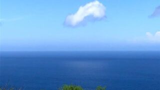 Thumbnail of post image 016