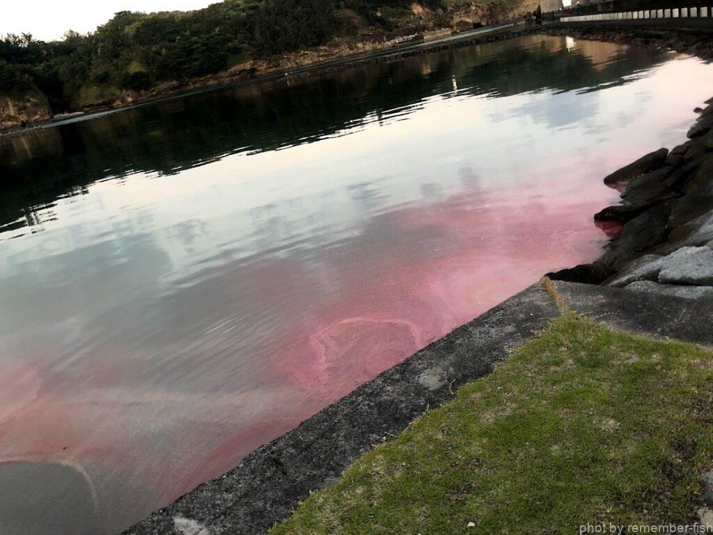 海