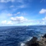 Thumbnail of post image 016