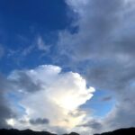 Thumbnail of post image 119