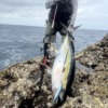 Thumbnail of new posts 006