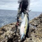 Thumbnail of post image 011